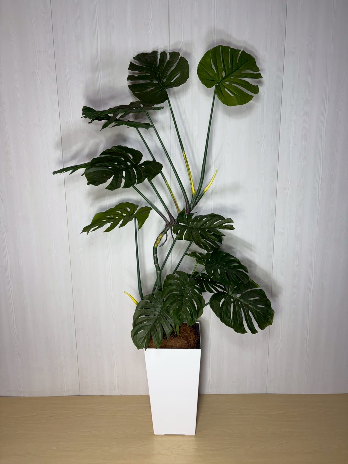 モンステラ10号　造花