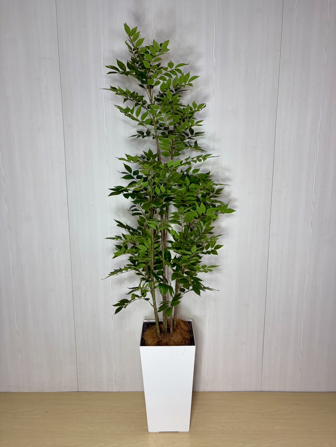 シマトネリコ10号　造花