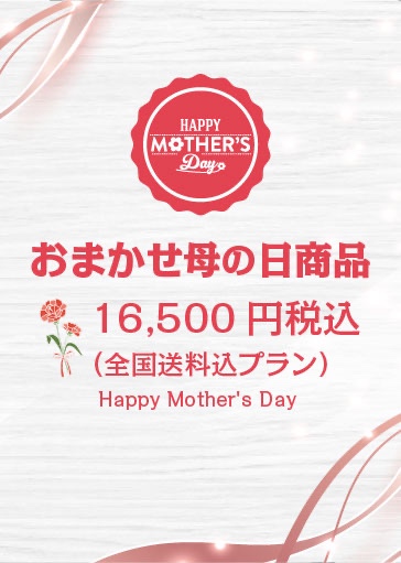 おまかせ母の日商品(全国送料込み16500円プラン)
