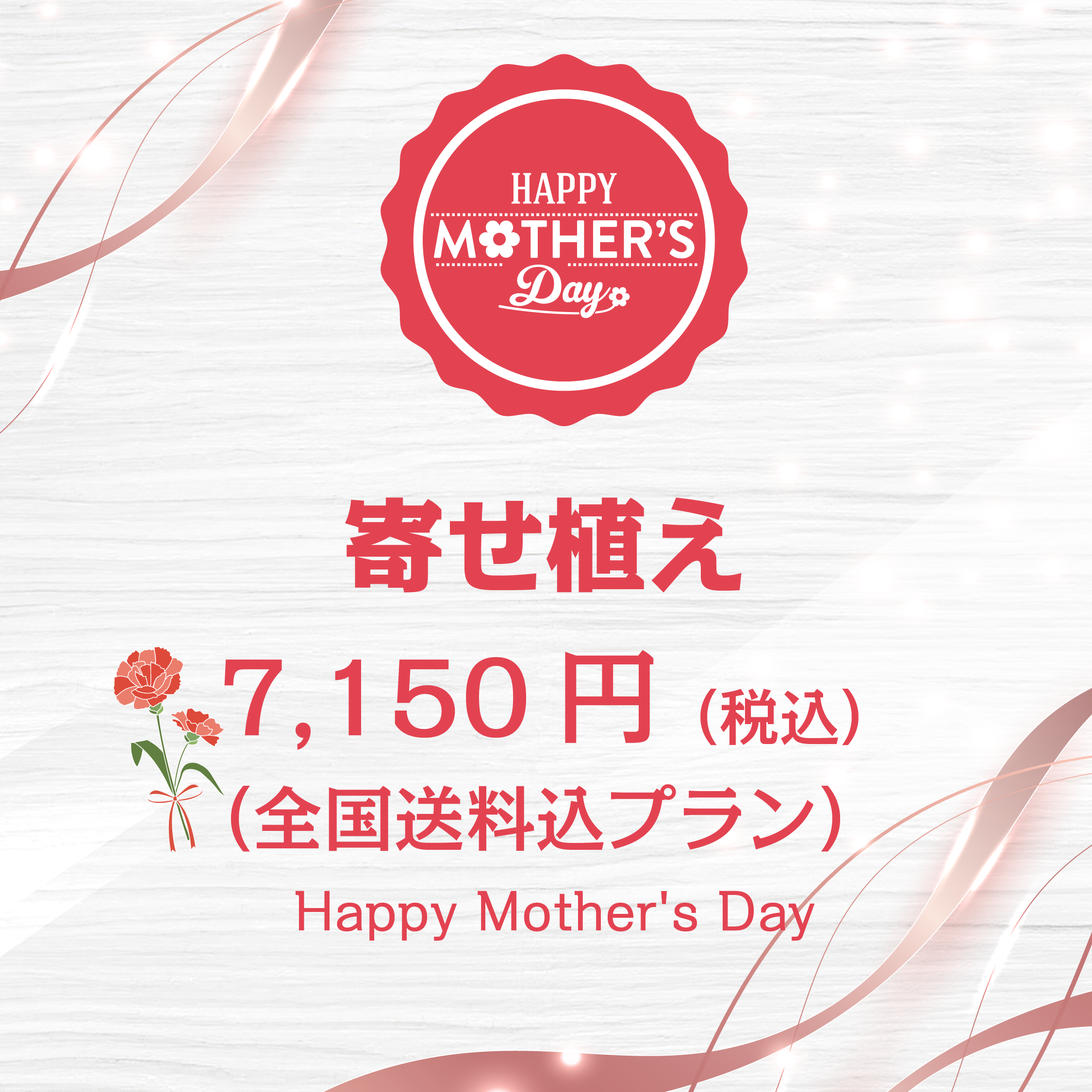 寄せ植え 母の日 おまかせType1(送料込)