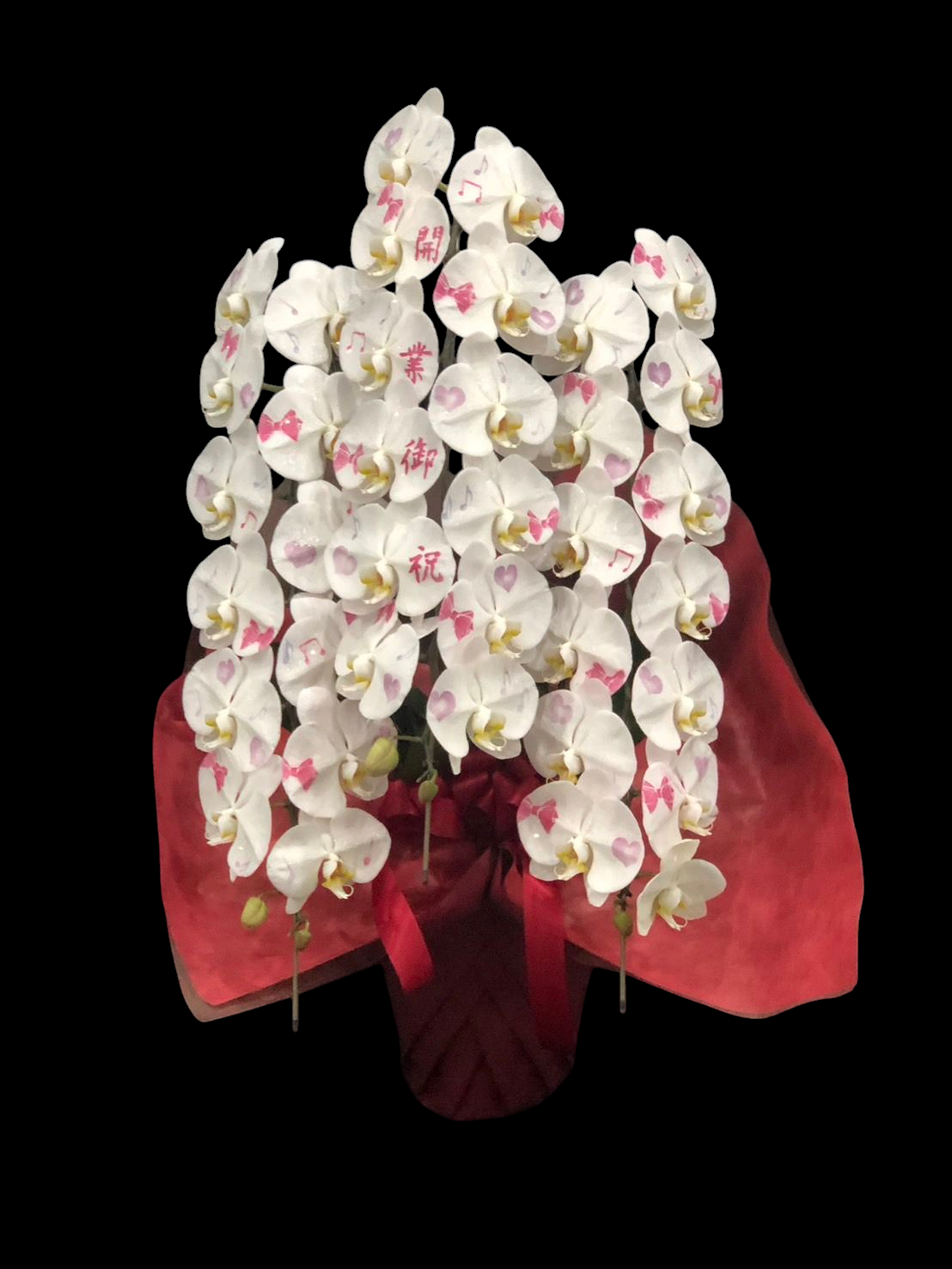 化粧蘭 3本立