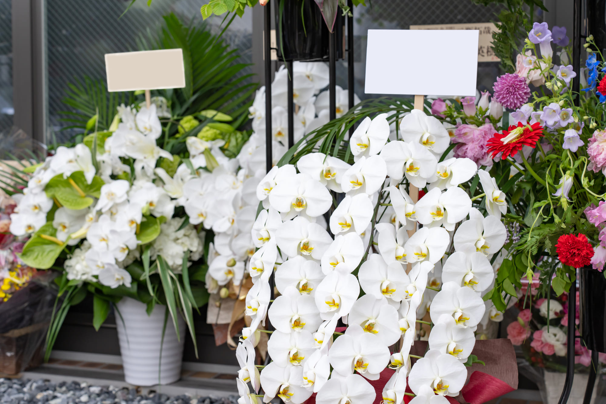 開店・周年祝い 予算相場