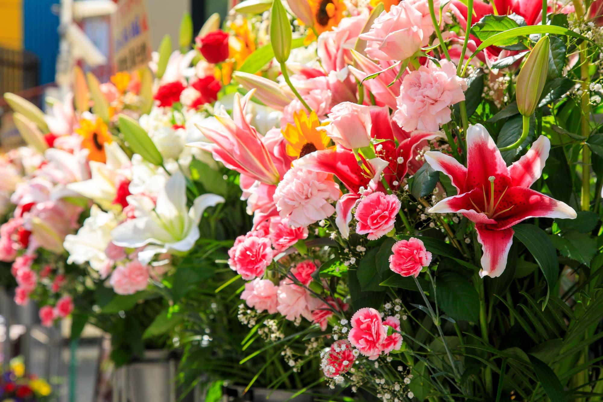 開店祝い お届けタイミング